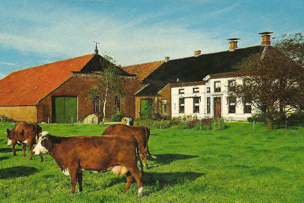 Kloosterboer - boerderij